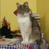 Отзыв от Альбина Калинина